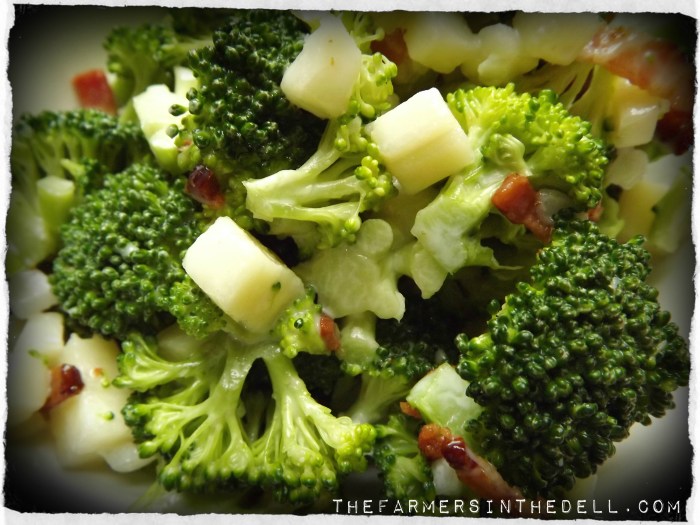 broccoli salad -TheFarmersInTheDell.com