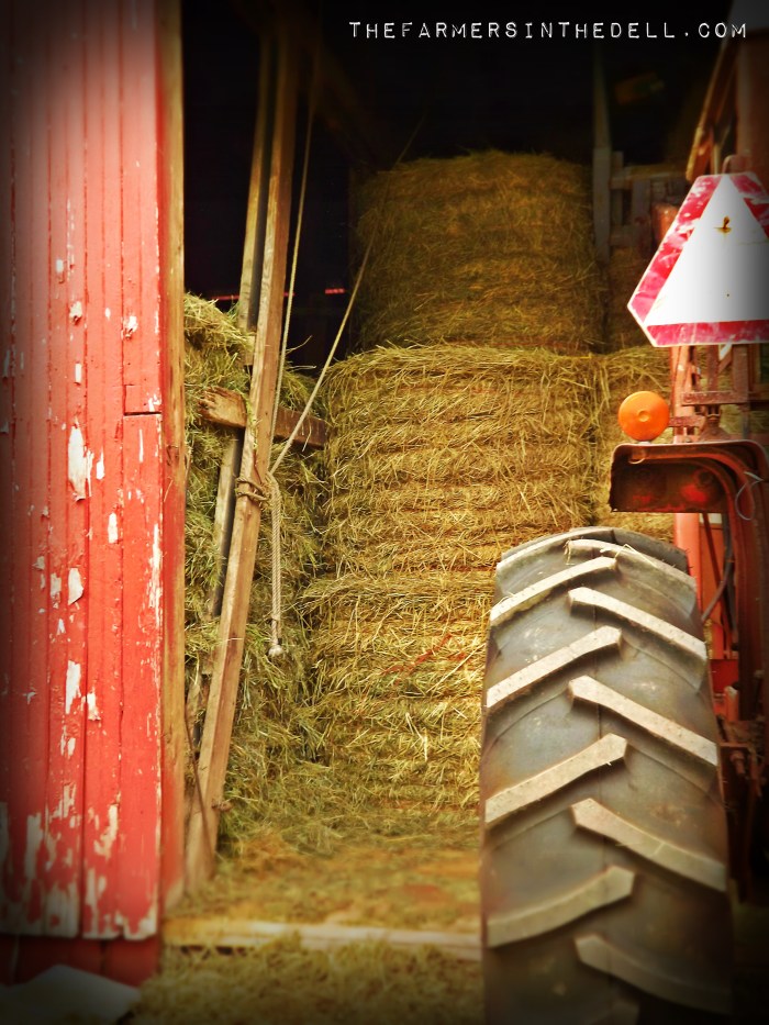 farm tractor - TheFarmersInTheDell.com