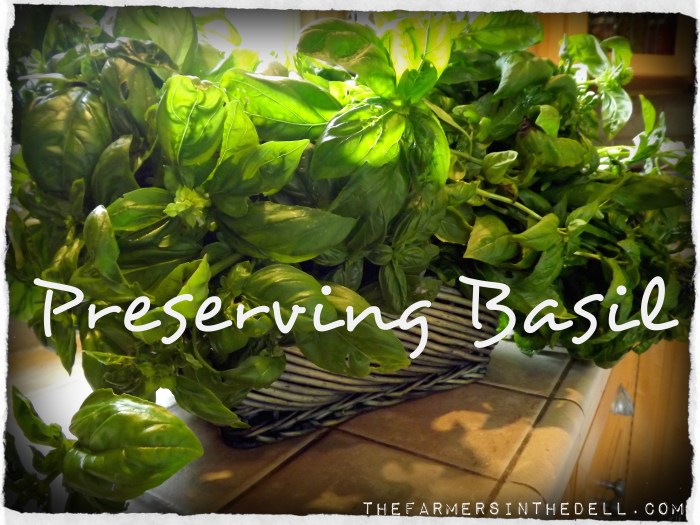 preserving basil - TheFarmersInTheDell.com