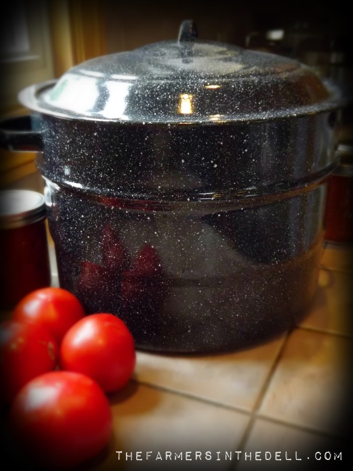 water bath canning - TheFarmersInTheDell.com