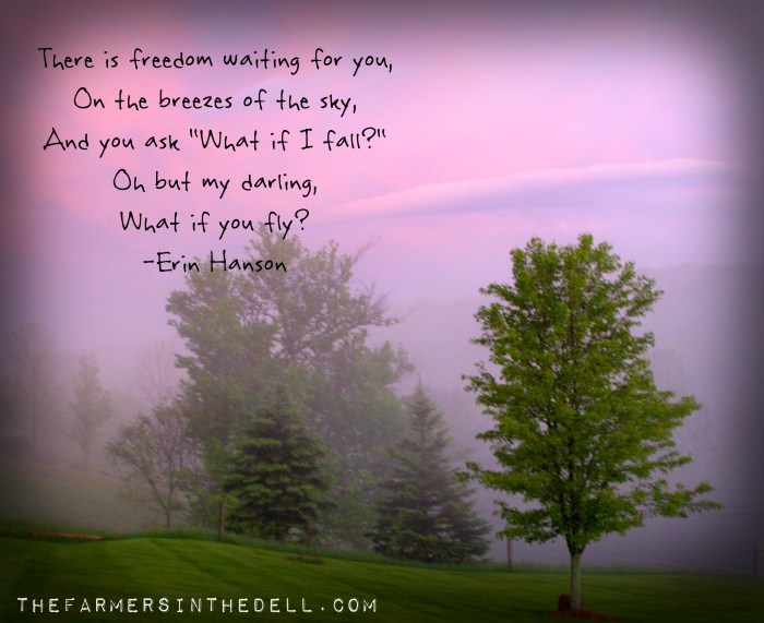 what if I fall Erin Hanson - TheFarmesInTheDell.com