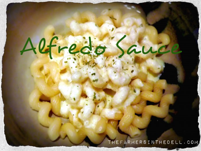 easy alfredo sauce - TheFarmersInTheDell.com