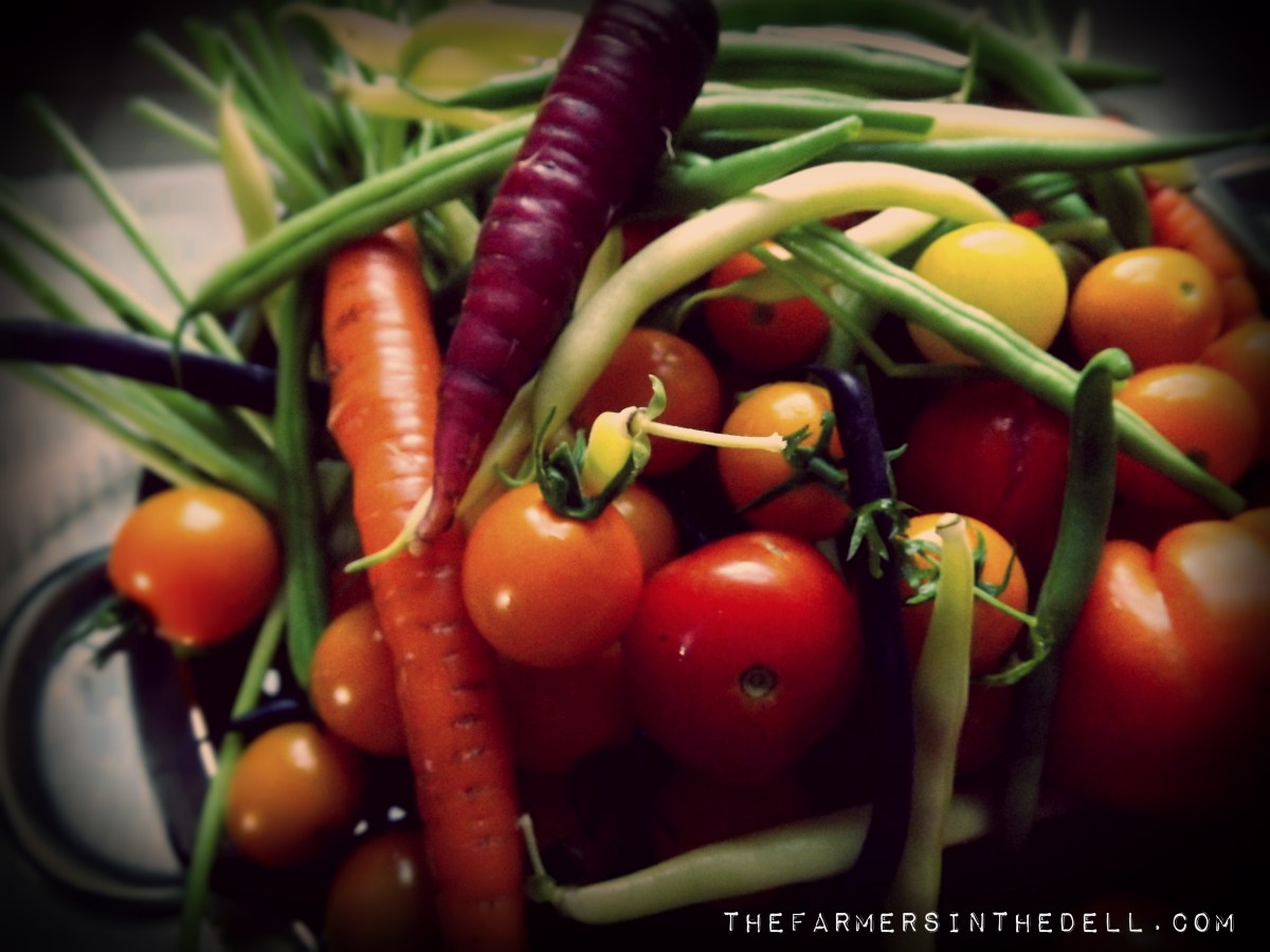 basket of vegetables - TheFarmersInTheDell.com
