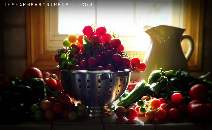 garden harvest - TheFarmersInTheDell.com