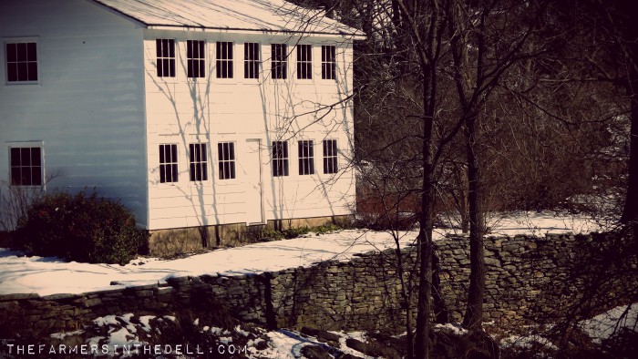 the old chicken barn - TheFarmersInTheDell.com