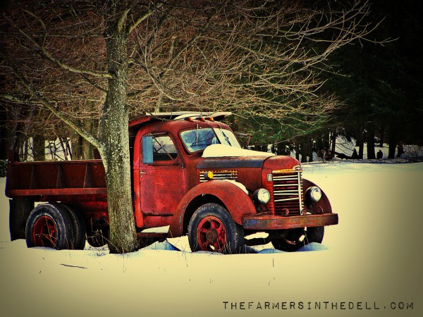abandoned old truck - TheFarmersInTheDell.com