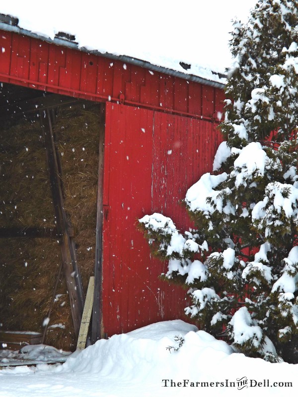 haymow - TheFarmersInTheDell.com