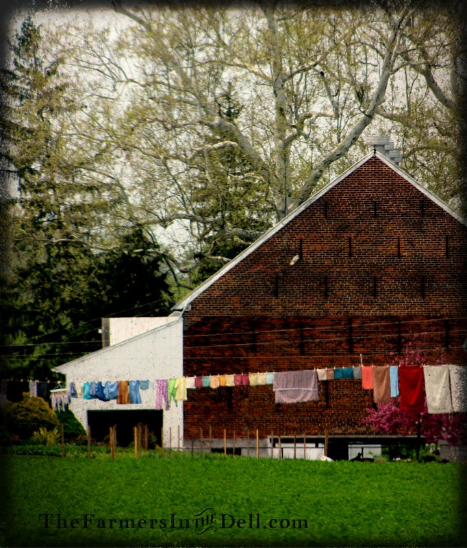 amish clothes line, lancaster, pa - TheFarmersInTheDell.com