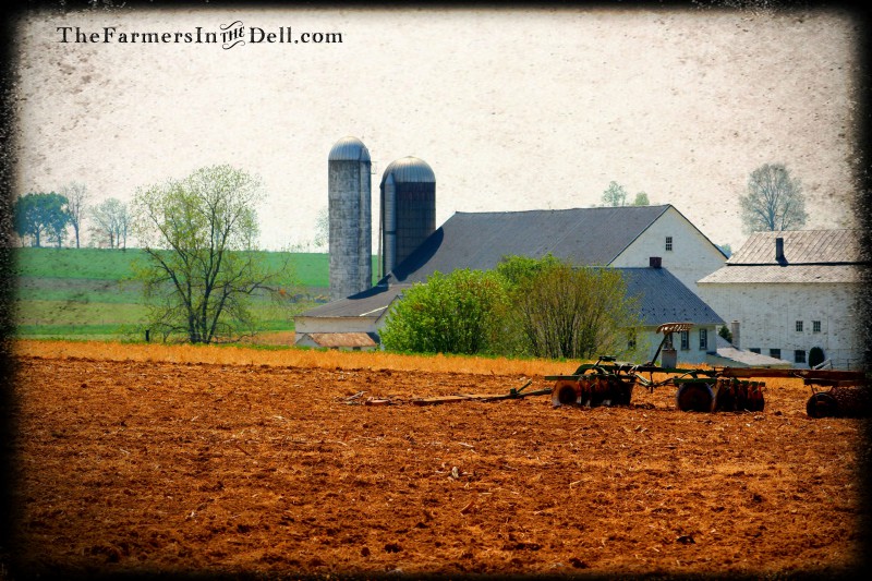 amish barn, lancaster, pa - TheFarmersInTheDell.com