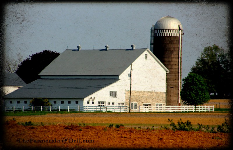 amish barn, lancaster, pa - TheFarmersInTheDell.com