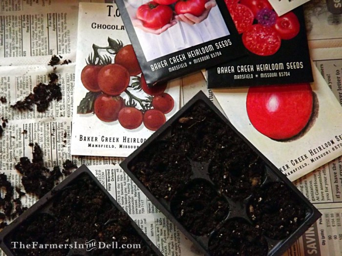 heirloom seeds - TheFarmersInTheDell.com