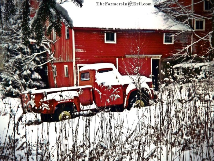 abandoned truck - TheFarmersInTheDell.com