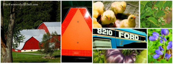 farm collage - TheFarmersInTheDell.com
