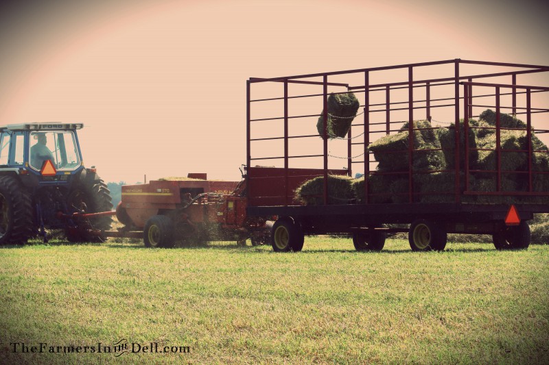 baling hay - TheFarmersInTheDell.com