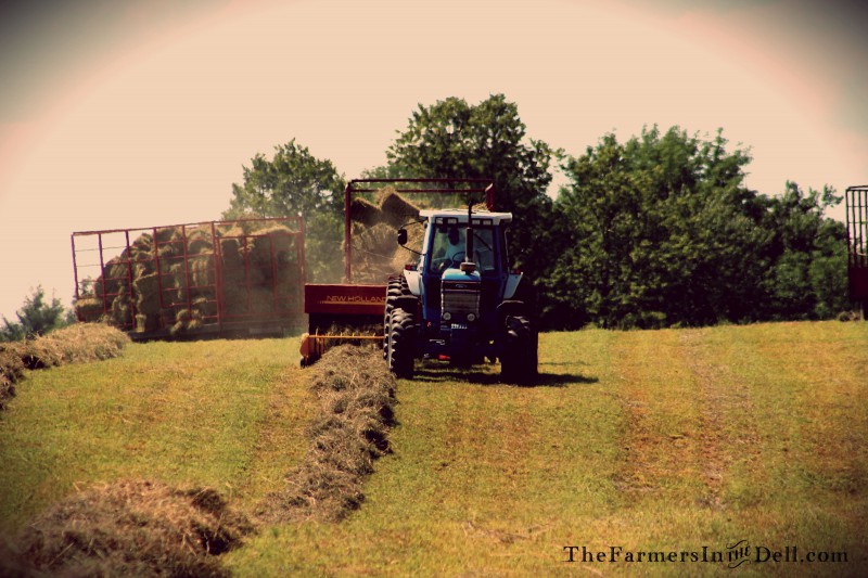 baling hay - TheFarmersInTheDell.com