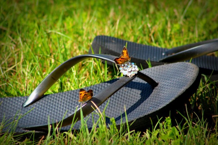 butterflies - TheFarmersInTheDell.com