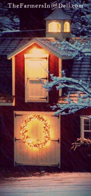 christmas door - TheFarmersInTheDell.com