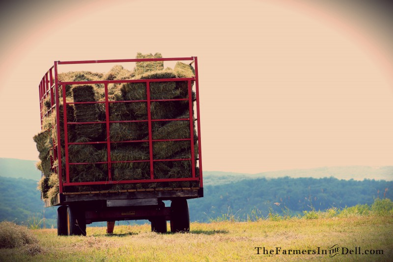 hay wagon - TheFarmersInTheDell.com