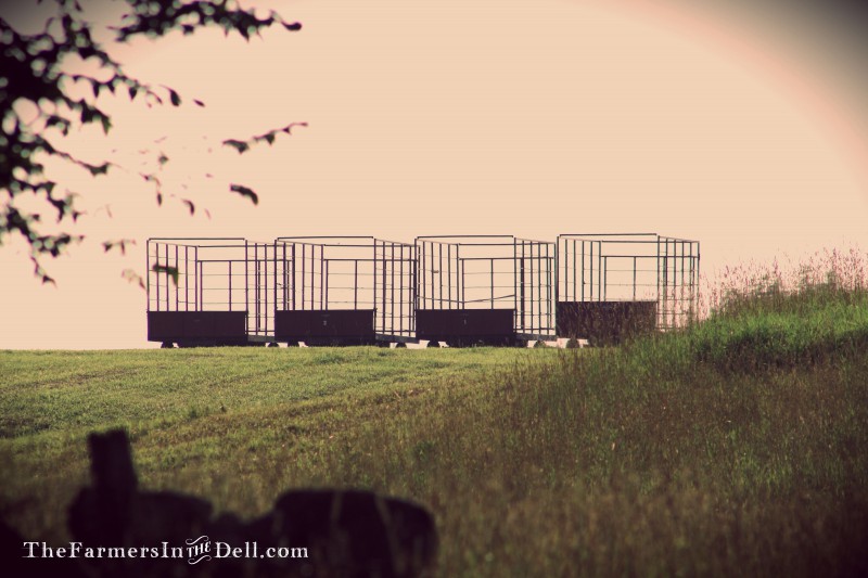 hay wagons - TheFarmersInTheDell.com