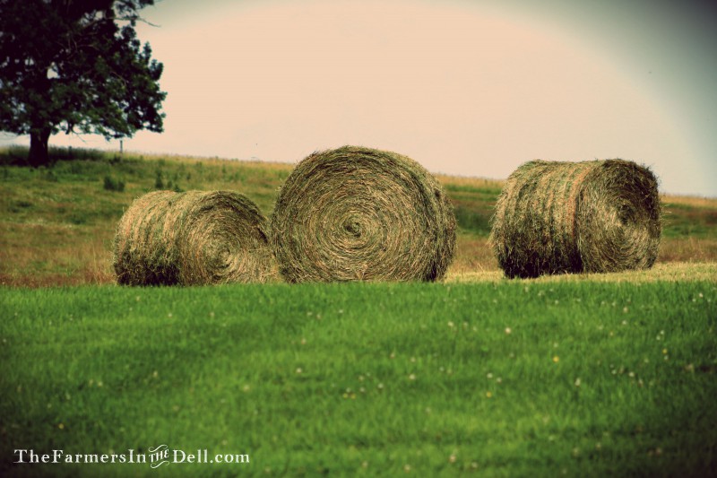 round bales - TheFarmersInTheDell.com