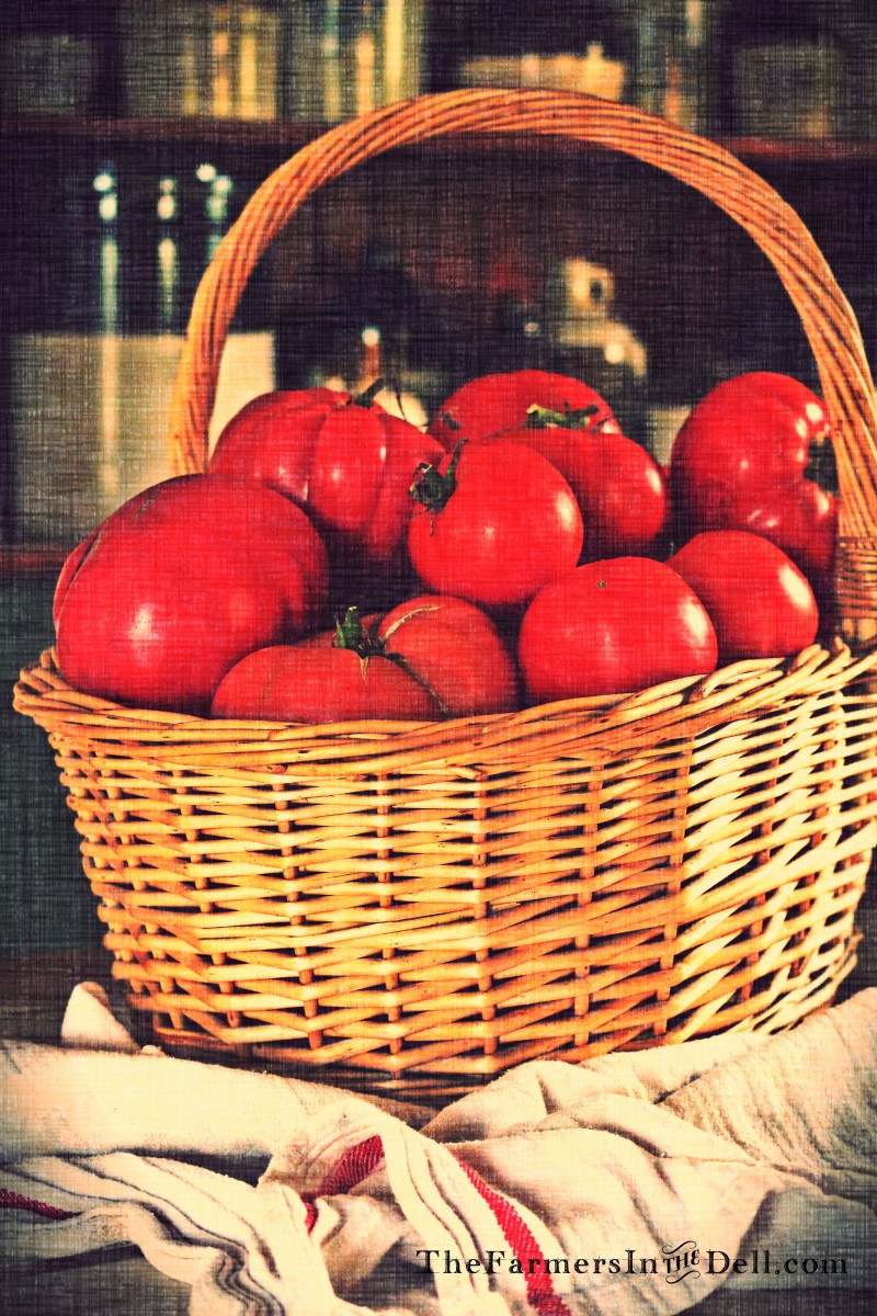 basil and garlic tomato sauce recipe - TheFarmersInTheDell.com