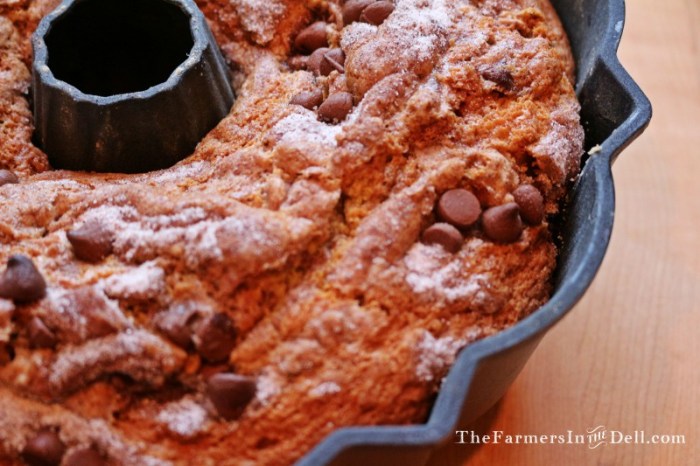 chocolate chip coffee cake - TheFarmersInTheDell.com