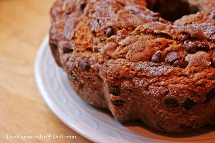 chocolate chip coffee cake - TheFarmersInTheDell.com
