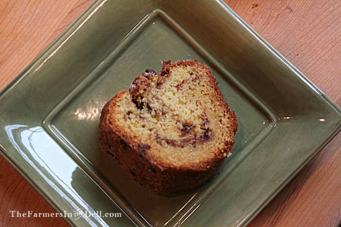 chocolate chip coffee cake - TheFarmersInTheDell.com