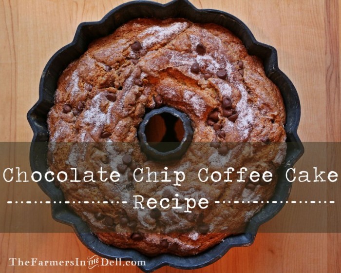 chocolate chip coffee cake - TheFarmersInTheDell.com