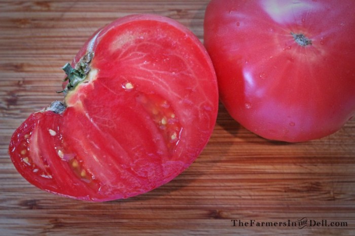 brandywine tomato - TheFarmersInTheDell.com