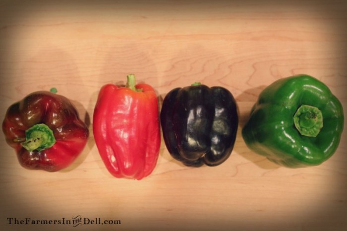 peppers - TheFarmersInTheDell.com