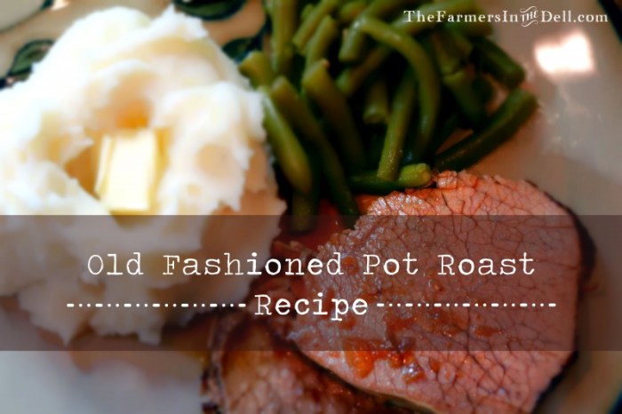 pot roast - TheFarmersInTheDell.com