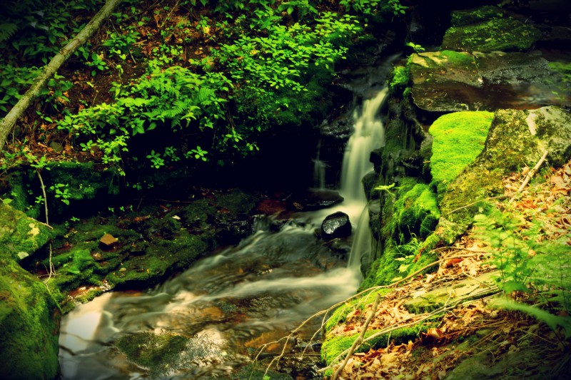 waterfall - TheFarmersInTheDell.com