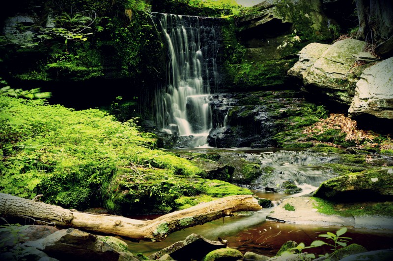 waterfall - TheFarmersInTheDell.com