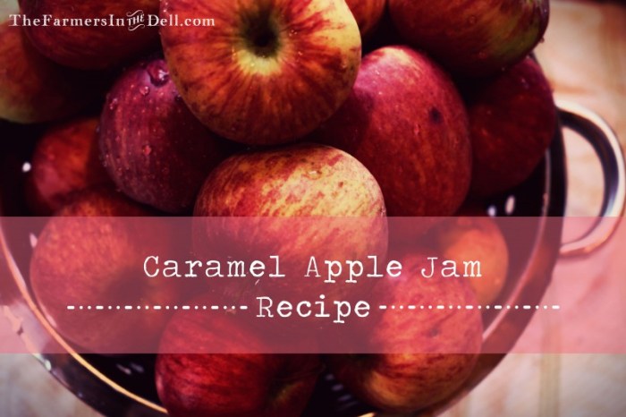 caramel apple jam - TheFarmersInTheDell.com