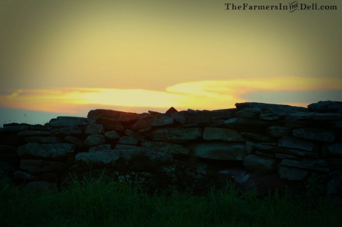 stonewall at dusk - TheFarmersInTheDell.com