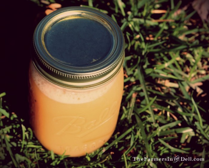 apple cider - TheFarmersInTheDell.com