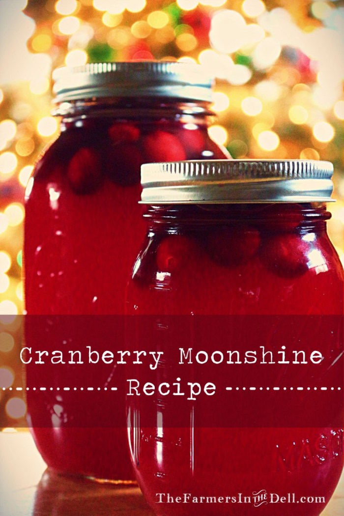 cranberry moonshine - TheFarmersInTheDell.com