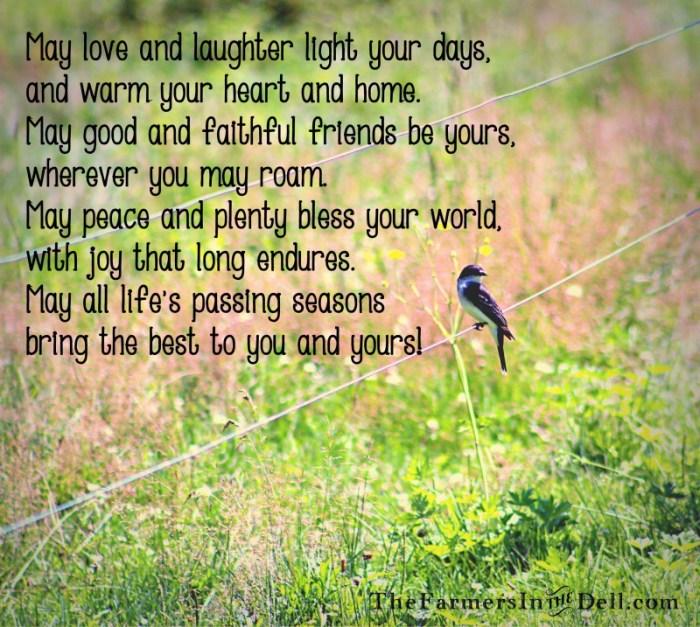irish blessing - TheFarmersInTheDell.com