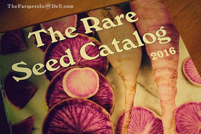 baker creek catalog - TheFarmersInTheDell.com