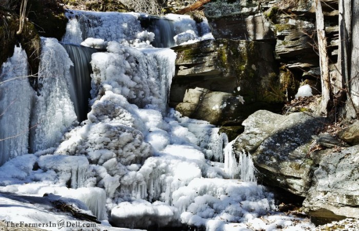 frozen waterfall - TheFarmersInTheDell.com