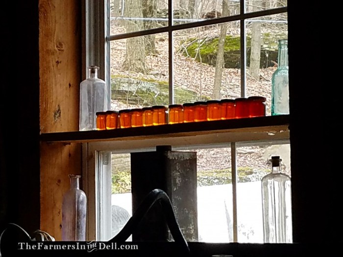 maple syrup - TheFarmersInTheDell.com