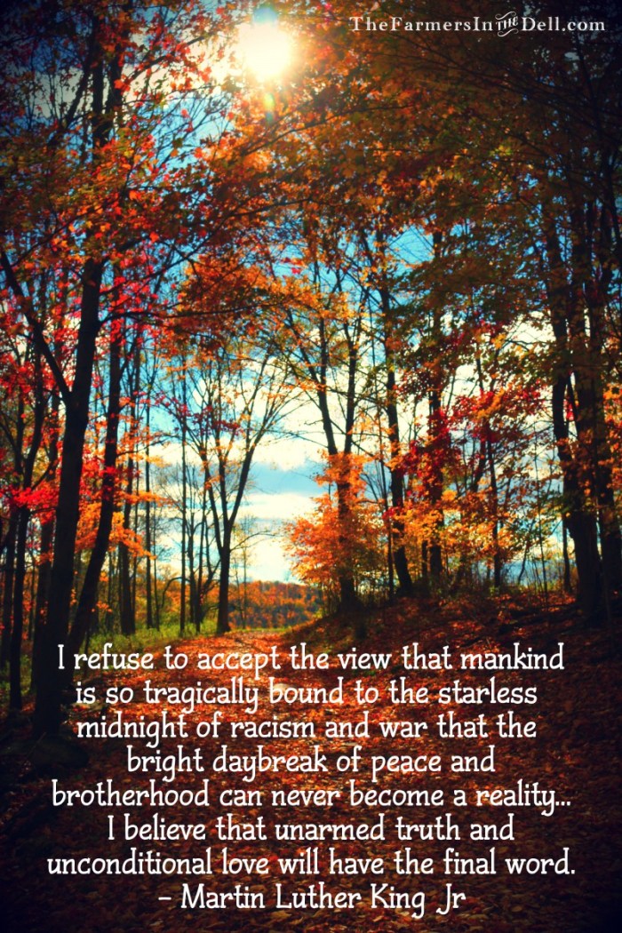 martin luther king jr quote - TheFarmersInTheDell.com