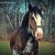 clydesdale mare - TheFarmersInTheDell.com