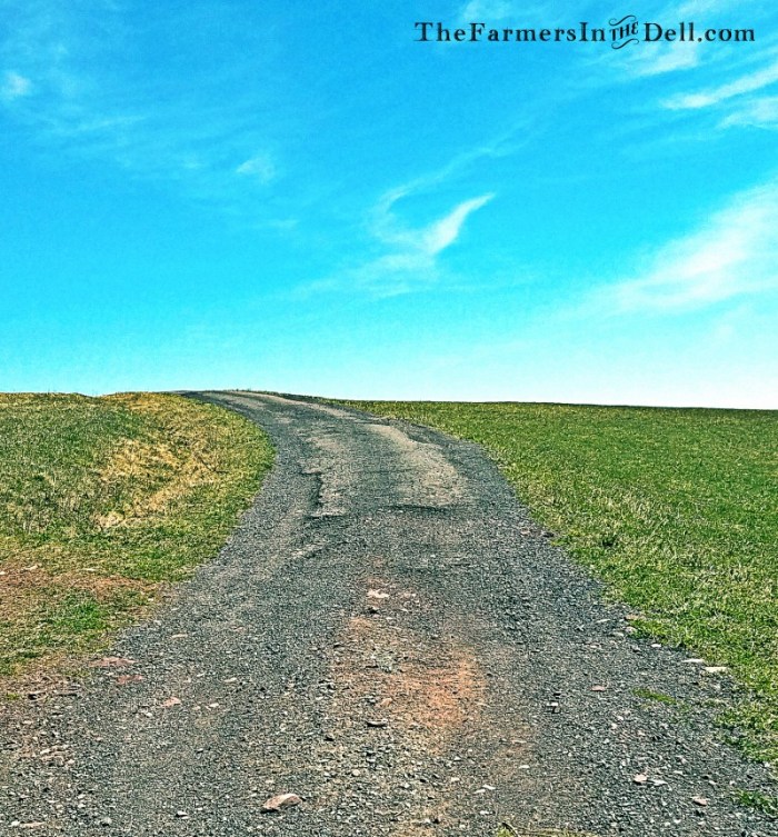 dirt road - TheFarmersInTheDell.com