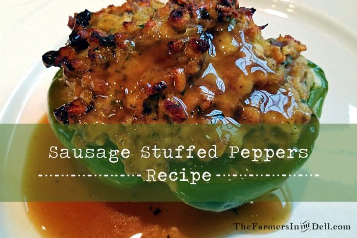 stuffed peppers - TheFarmersInTheDell.com