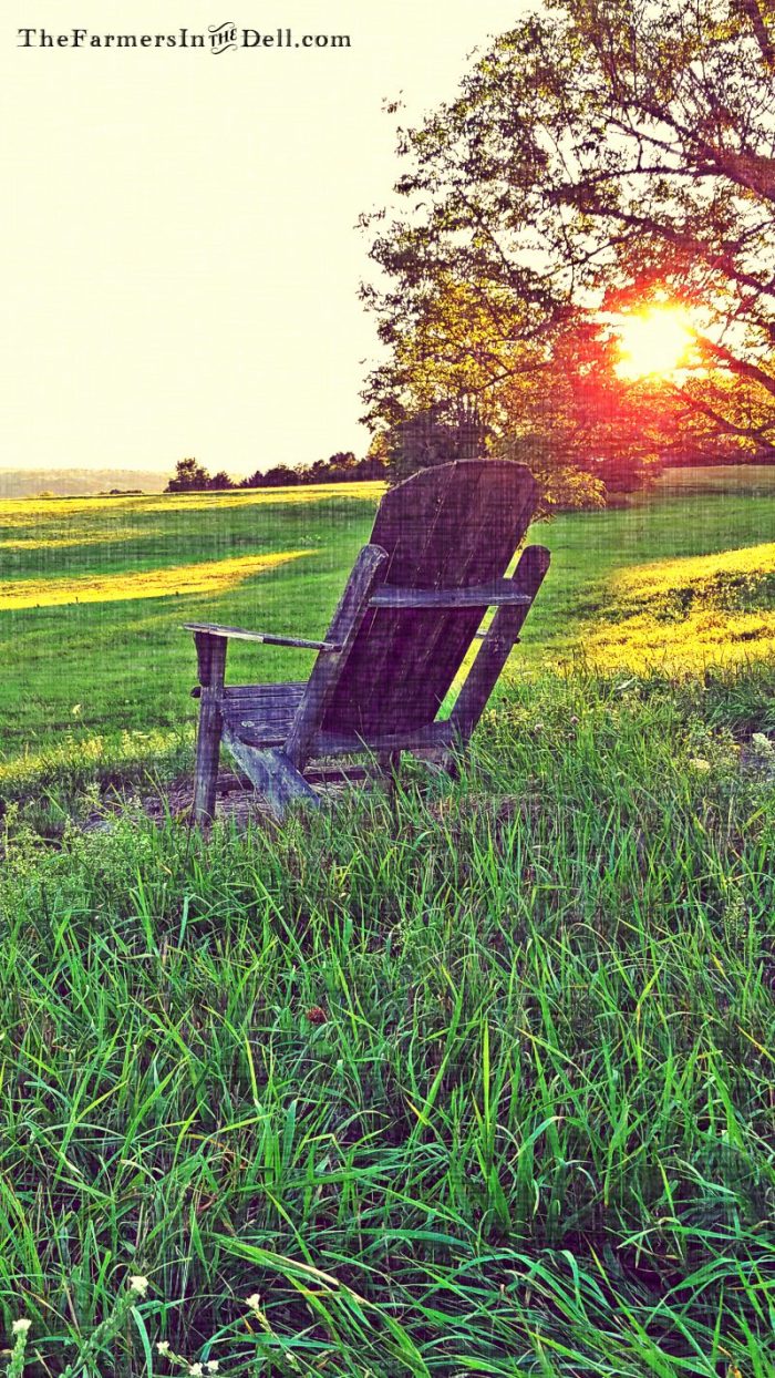 sunrise - TheFarmersInTheDell.com