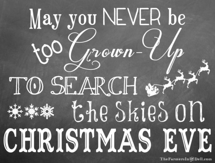 may you never be too grown up to search the skies on Christmas Eve - TheFarmersInTheDell.com