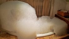 bubbles - TheFarmersInTheDell.com
