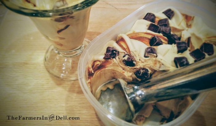 gelato - TheFarmersInTheDell.com